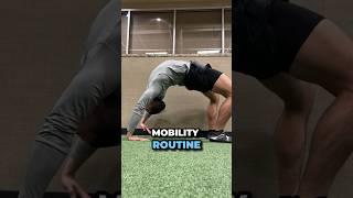 Upper Body Mobility Routine