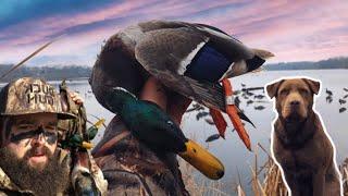 Duck Gun Chronicles Hunt 4: Feet Down Beat Down - FULL MOVIE