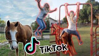 Recreating EQUESTRIAN TIK TOKS! PART 2!!