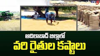 The difficulties of rice farmers in Adilabad district Adilabad Farmers | Telangana | TV5 News Digital