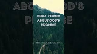 Bible Verses on God Promises