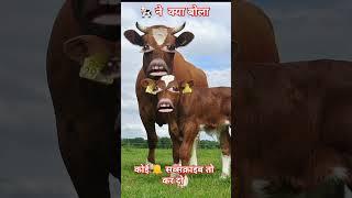 Pani lao re pani lao re short video