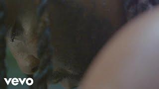 Dameon Gayle - I Am (Official Video)