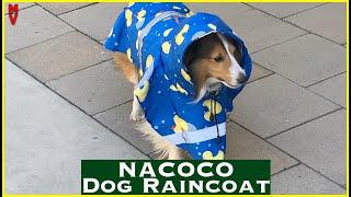 Keep Your Dog Dry! || Nacoco Dog Raincoat || MumblesVideos Product Review