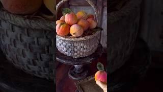 Персики в разрезе  #тортдекор #декорторта #кондитер