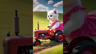 Hard Working Cat|#Zimsimstories #meowmeowcatsong#BusinessCat