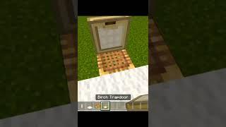 Minecraft Tiktok Hack #viral #minecraft