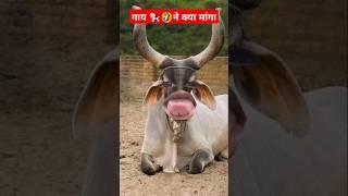 Pani Lao re cow  cow videos cat videos#shorts #viralvideo