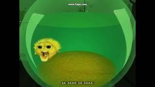 Yellow Singing Pufferfish | Fugu Fish