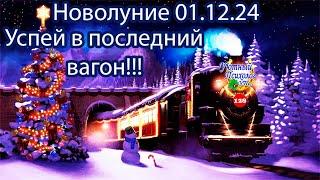 ОТВЕТСТВЕННОЕ НОВОЛУНИЕ 1 ДЕКАБРЯ 2024 В СТРЕЛЬЦЕ НЕЛЬЗЯ ПРОПУСТИТЬ ТВОЁ СПАСЕНИЕ РИТУАЛ ВСЕ БЛАГА