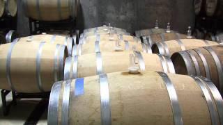Virginia Wine Lover - Narmada Winery