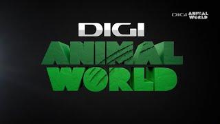 DIGI Animal World (Romania) - Continuity (March 25, 2024)