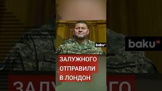 Бывший главком ВСУ Залужный теперь назначен послом в Великобритании