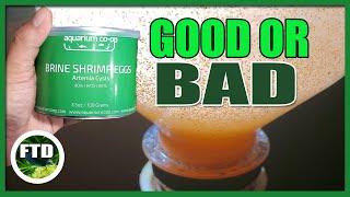 Aquarium Co-op Brine Shrimp Eggs Review! Are they worth it? Good or Bad?