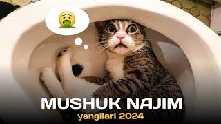 MUSHUK NAJIM 2024 | NAJIM PISHAK QAYTDIMI