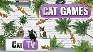 CAT TV | Larry the Lizard | A Playful Adventure Across Diverse Lands | Videos For Cats to Watch | 