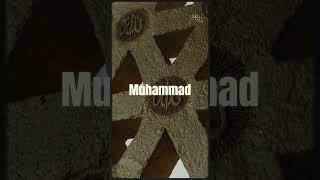 Beautiful Facts About Islam  | You’ll Fall in Love With Your Faith Again