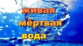 Живая мёртвая вода