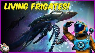 How To Get Living Frigates In No Man's Sky Endurance Freighter Update