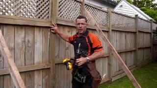 How to Repair a Leaning Fence | Mitre 10 Easy As DIY