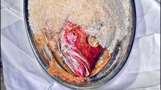 Salt Crusted 5lb Whole Snapper! 