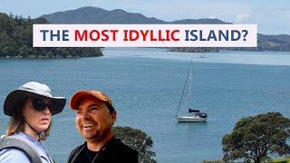 Is this the MOST IDYLLIC island to sail to in the Bay of Islands in New Zealand?