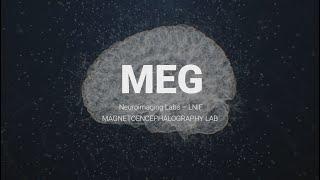 CIMeC UniTrento | Laboratories Magnetoencephalography Lab (#MEG Lab)