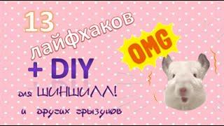 13 ЛАЙФХАКОВ + DIY для ШИНШИЛЛ!(и других грызунов)