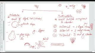 Paleontology Previous year Q&A and Numerical class video-17: BRAHMASTRA (Hinglish)