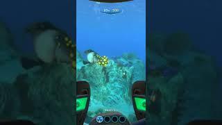 Газобрюх сделал сальто! #subnautica #летсплей