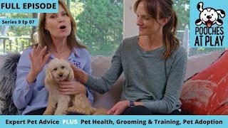 Dog grooming, Dog Training, Pet Health Advice Full Episode S9 Ep 7 | Pooches at Play