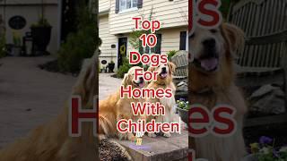 Top 10 Dogs For Home with Children Funn #dogs  #shorts