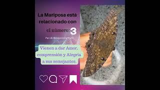 La Mariposa está relacionado con el número