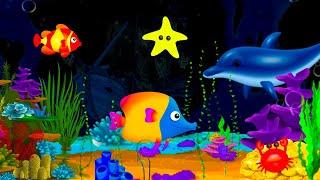 Soothing fishes  Calming Undersea Animation 🪸 Aquarium  Baby Lullaby 