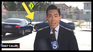 Car Crash Interrupts Reporter's Live Shot