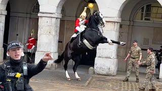 King’s Guard Shows Exceptional Horsemanship when Tourists Did this ( at horse guards parade)