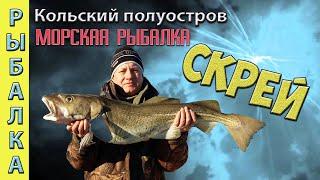 Морская рыбалка в Мурманске. СКРЕЙ. ЛОВЯТ ВСЕ !!!