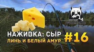 Русская рыбалка 4 #16 - Наживка: Сыр, Линь и Белый Амур