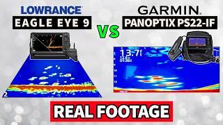 Panoptix PS22 vs Eagle Eye: Which Is Worth Your Money?