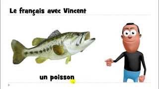 J'apprends le français # 1 mot par jour # un poisson