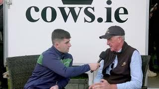 Talking cow and heifer trade #Ploughing2024