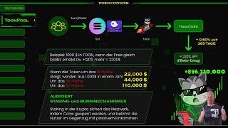 Toon Club DAO Chance 2025  - Toon Token Ökosystem - 1000x möglich?