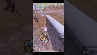 Killed My new Freind 