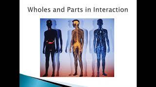 Master Class Introduction to Interpretive Description