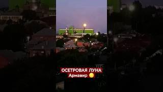 Осетровая  19.08.2024