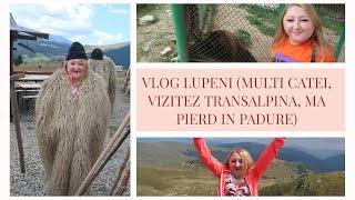 Vlog Lupeni (multi catei, vizitez Transalpina, ma pierd in padure)