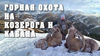 Горная охота на Козерога и Кабана. Mountain hunting for ibex and wild boar