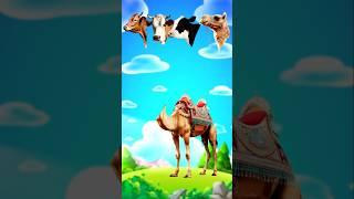 Camel Qurbani Mubarak #shorts #viralvid #islamicvideo