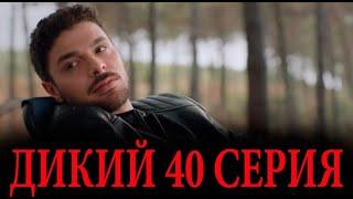 Дикий 40 серия на русском языке. Дата выхода и анонс