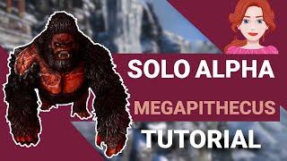 SOLO Alpha Megapithecus Tutorial - Keine Tricks, kein Clickbait!